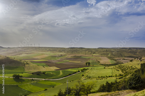 Green Grass Field Landscape with fantastic clouds in the background