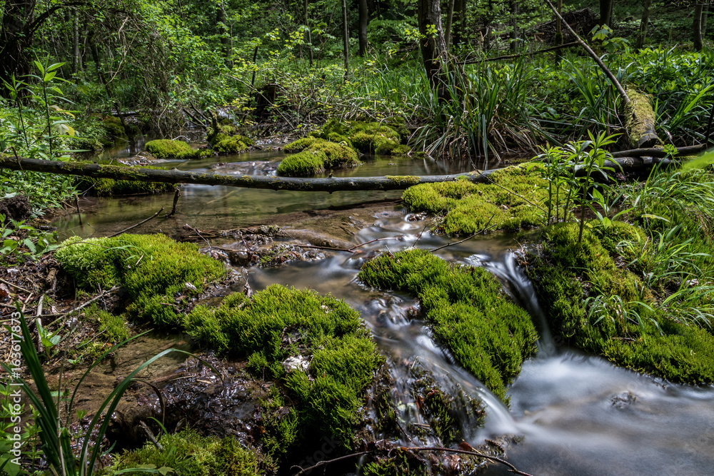 Idyllischer Wildbach in einem Mittelgebirge Idyllischer Wildbach in einem Mittelgebirge