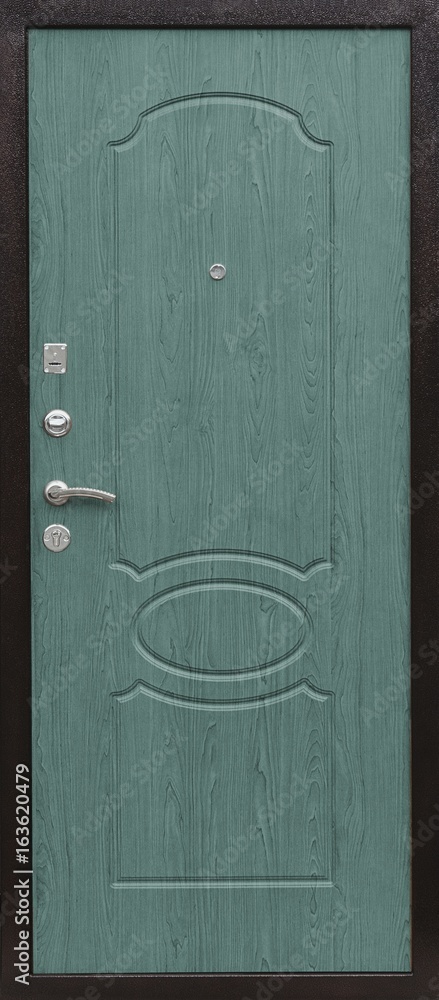 Entrance door (metal door) Entrance door (metal door)