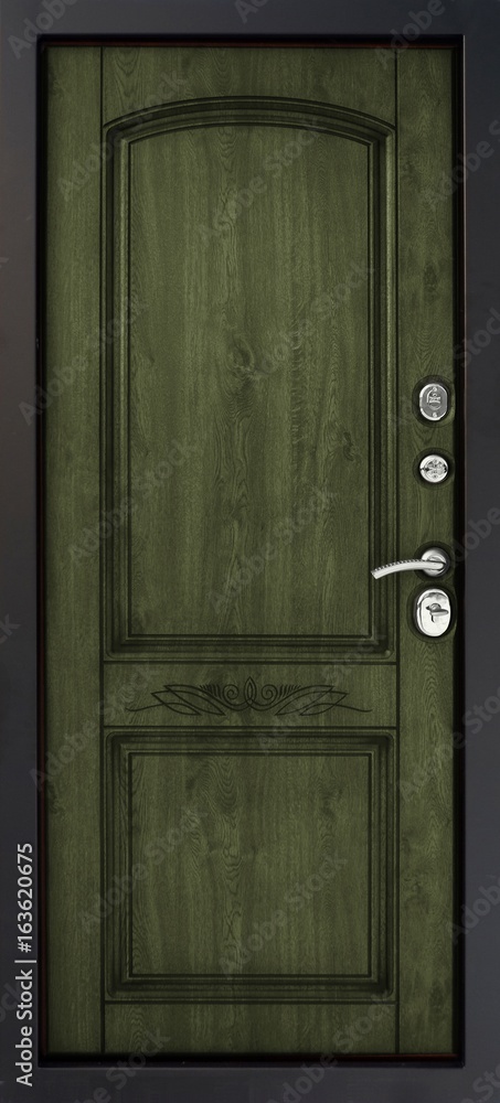 Fototapeta premium Entrance door (metal door)