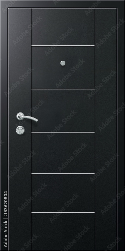 Entrance door (metal door) Entrance door (metal door)