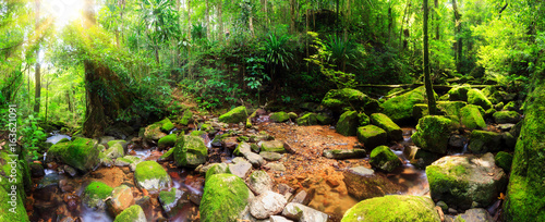 Fotografie, Obraz Beautiful 180 degree panorama of a stream in the rainforest jungle of the Masoal