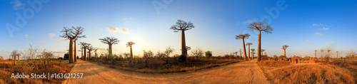 Beautiful 360 degree panorama at sunset at the avenue of the baobabs in Madagascar