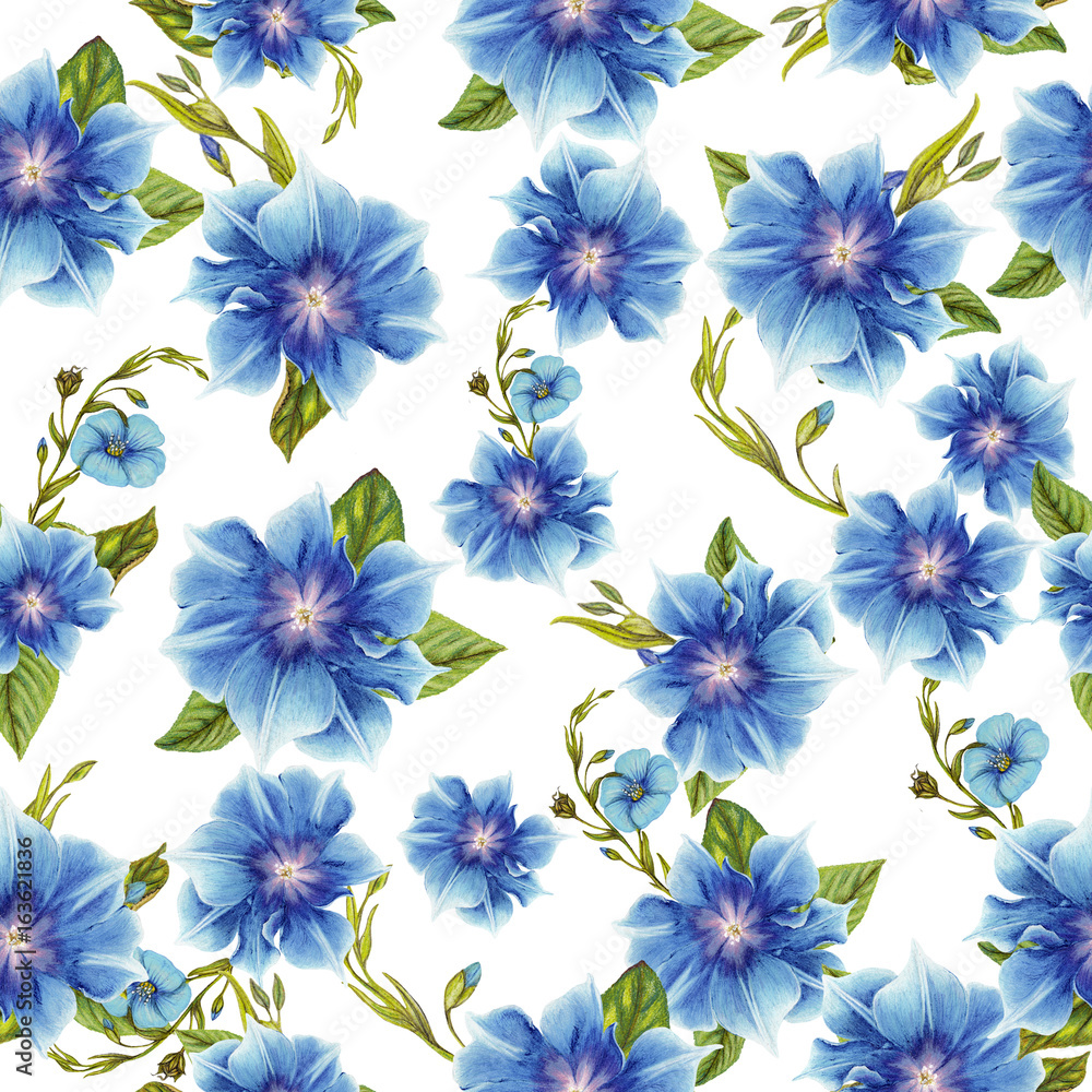 Obraz premium Seamless pattern of morning glories