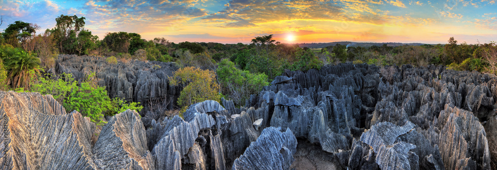 Beautiful 180 degree HDR panorama of the unique geography at the Tsingy de Bemaraha Strict Nature Reserve in Madagascar - obrazy, fototapety, plakaty 