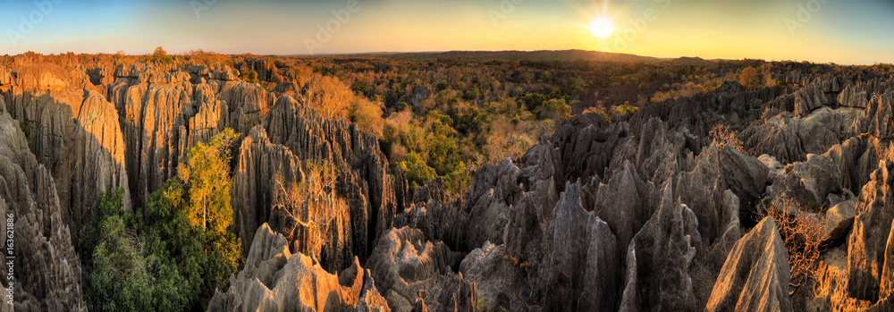 Naklejka premium Piękna panorama HDR o 180 stopniach wyjątkowej geografii w ścisłym rezerwacie przyrody Tsingy de Bemaraha na Madagaskarze