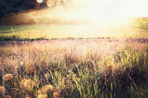 Fotografia Beautiful  autumn or late summer country landscape with grass, field and sunbeam