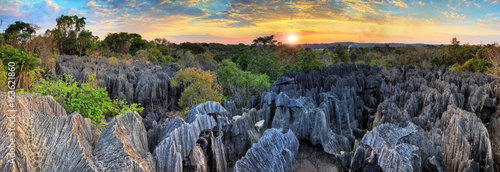 Beautiful 180 degree HDR panorama of the unique geography at the Tsingy de Bemaraha Strict Nature Reserve in Madagascar photo