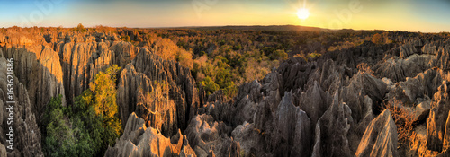 Beautiful 180 degree HDR panorama of the unique geography at the Tsingy de Bemaraha Strict Nature Reserve in Madagascar © dennisvdwater