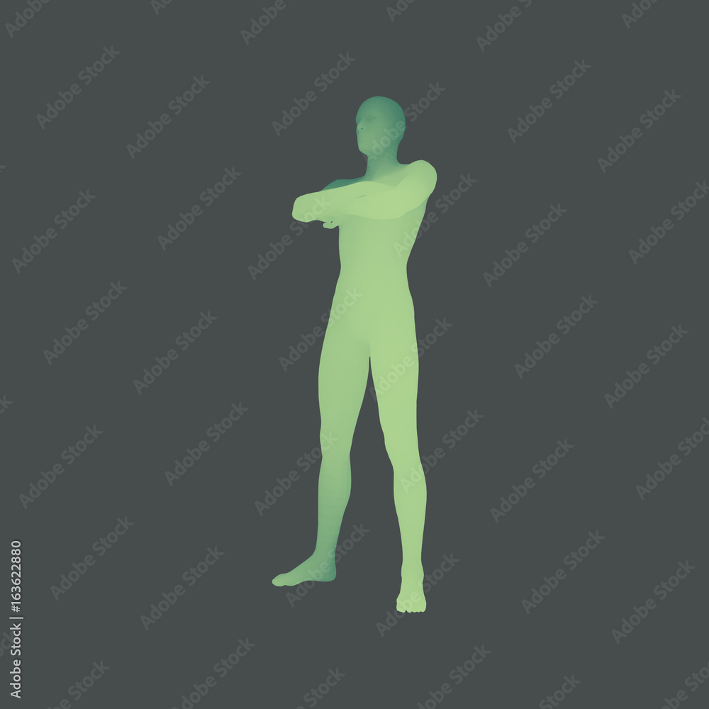Man Stands on his Feet. Man Crossing His Arms Over His Chest. 3D Human Body Model. Design Element. Vector Illustration. Man Stands on his Feet. Man Crossing His Arms Over His Chest. 3D Human Body Model. Design Element. Vector Illustration.