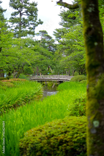 兼六園にて