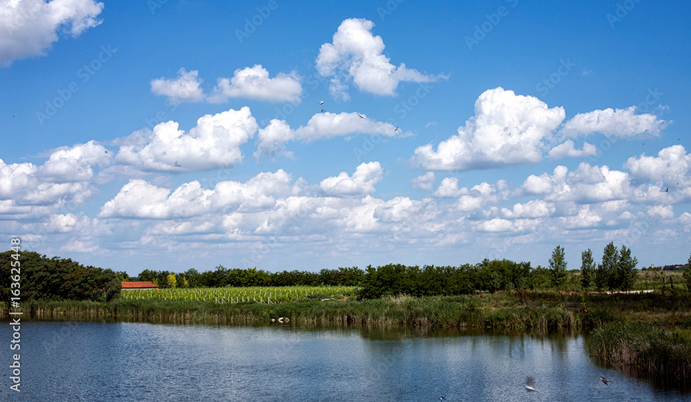 landscape with river and nature in the countryside.