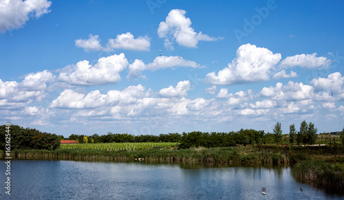 landscape with river and nature in the countryside. © Lucky Fenix