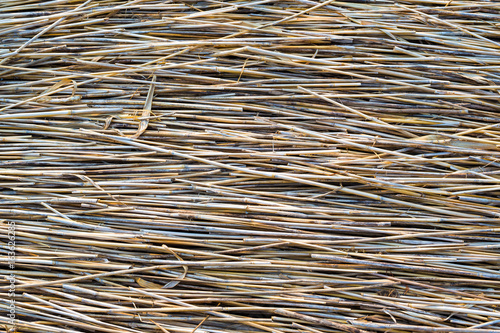 Natural dry cane background 