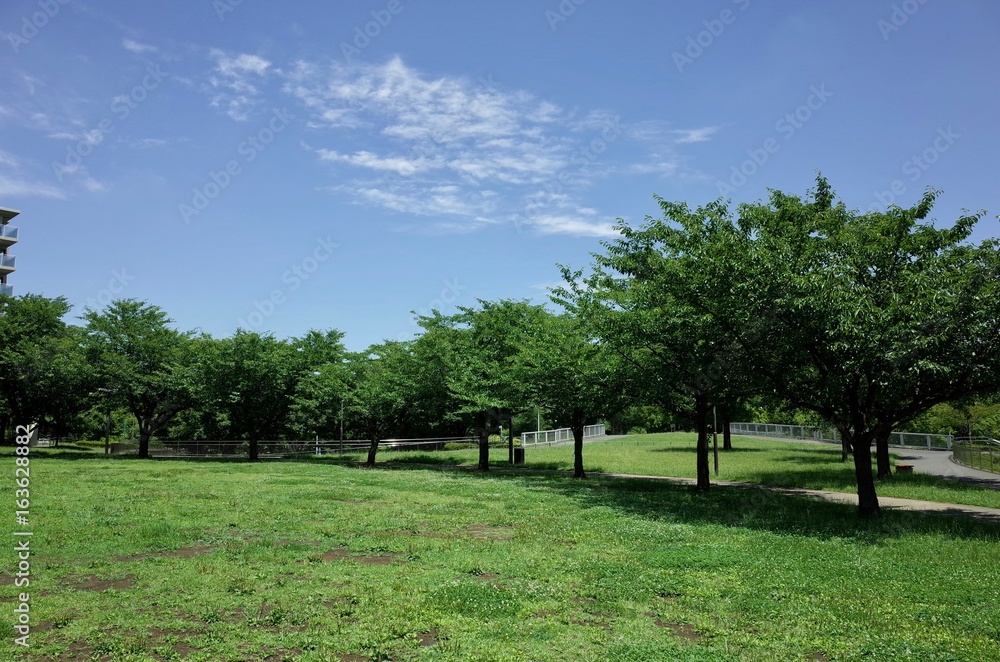 初夏の公園