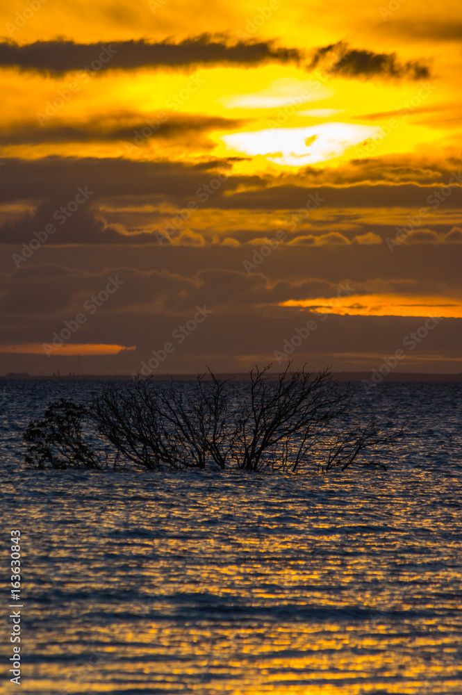 Naklejka premium Golden sunset at Weeroona Island located in Germein Bay South Australia