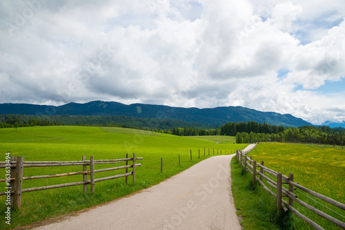 Narrow road passing through a green field in Bavarian Alps.