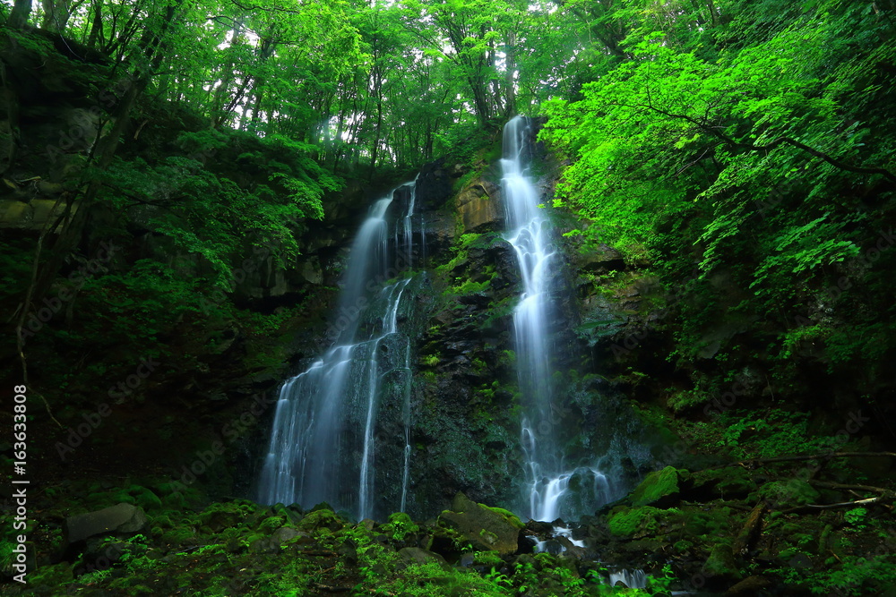 夏の友情の滝 夏の友情の滝