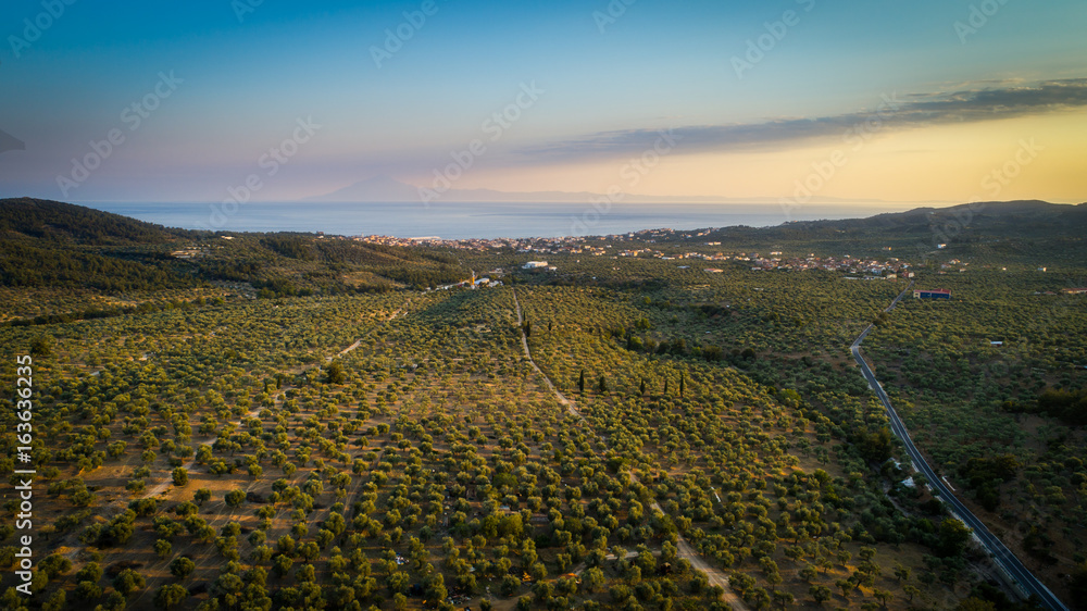 Olivie farm and vilage Limenaria Greece. Olivie farm and vilage Limenaria Greece.