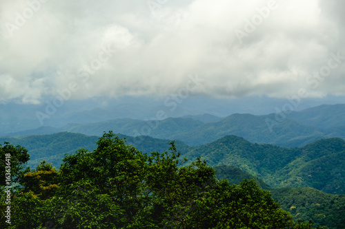 Forest mountain and cloud