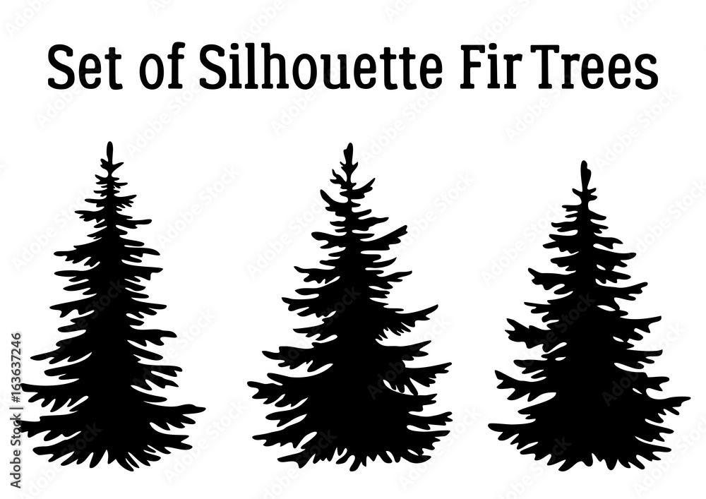 Fototapeta premium Fir Trees, Christmas Holiday Decoration, Black Silhouettes Isolated on White Background. Vector