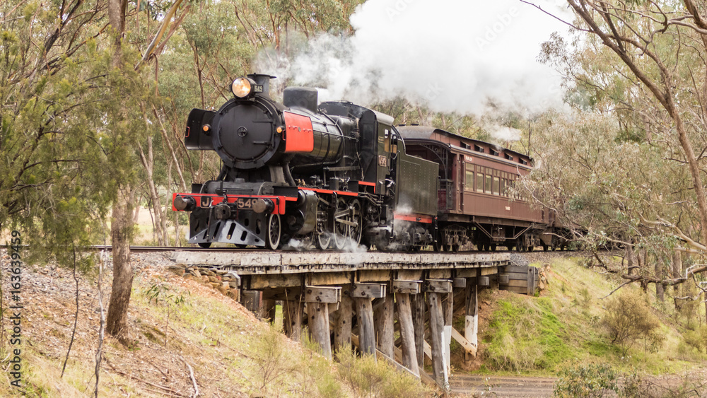Naklejka premium steam train