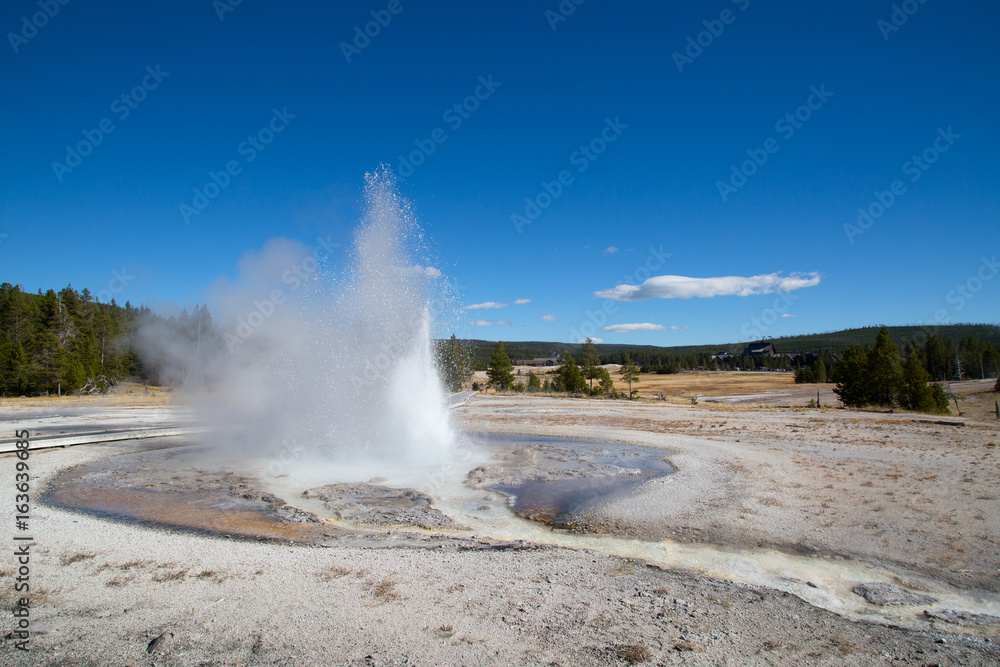 Geyser Geyser