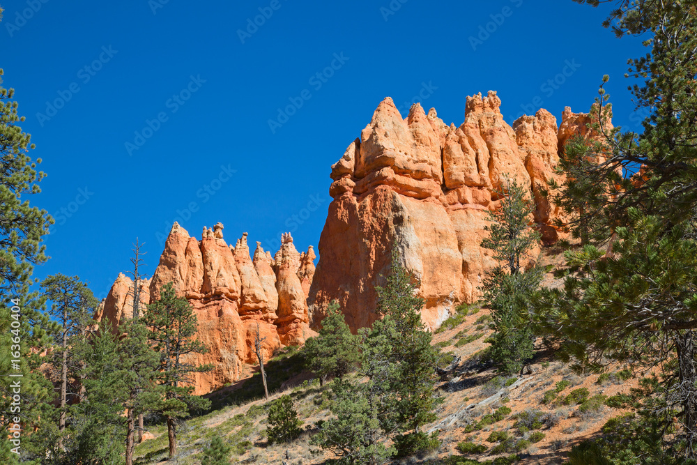 Bryce canyon