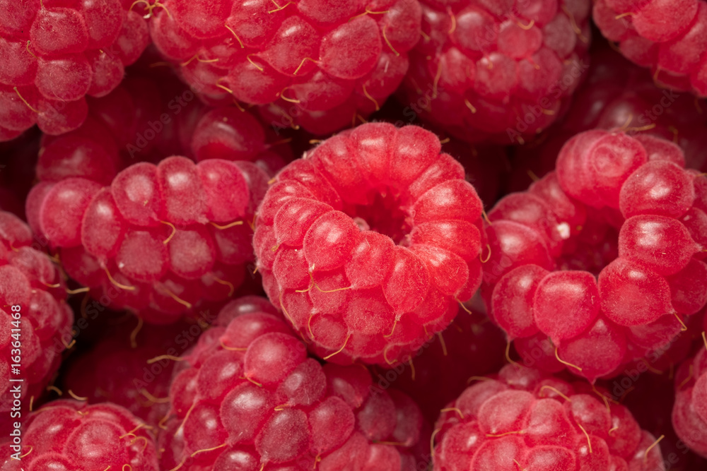 Rote rohe Himbeeren als Nahaufnahme Rote rohe Himbeeren als Nahaufnahme