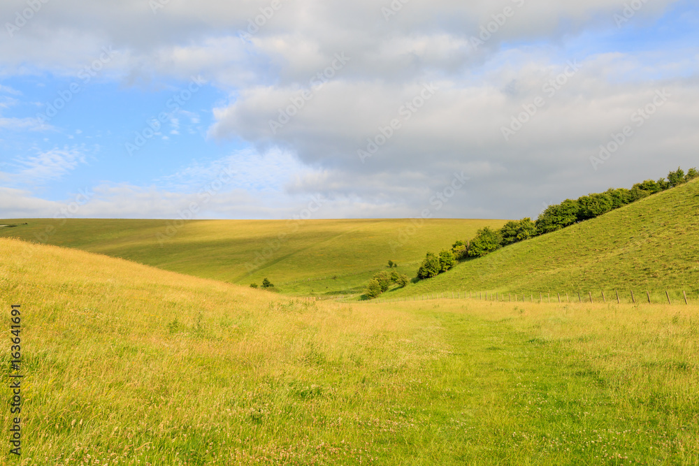 South Downs Landscape