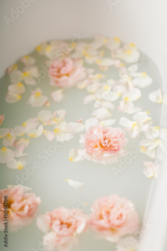 Obraz na płótnie White bath with milk and rose petals. Relaxation and harmony
w salonie