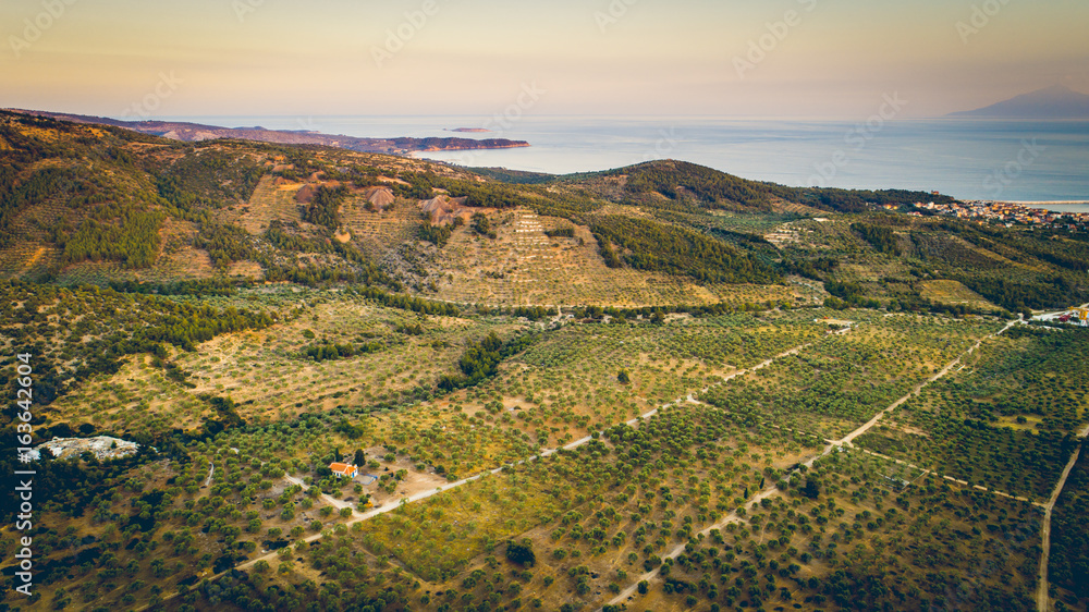 Olivie farm and vilage Limenaria Greece.