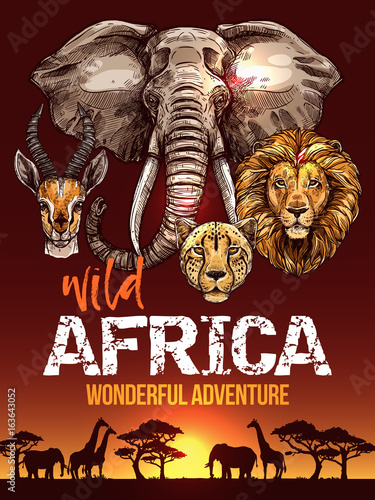African safari poster with wild animals sketches