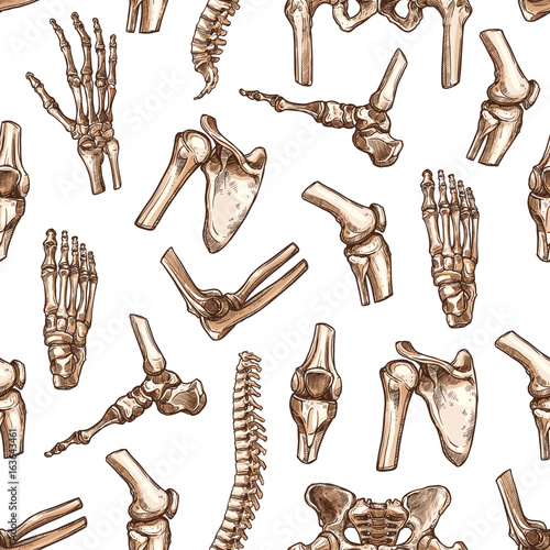 Human skeleton bone seamless pattern background