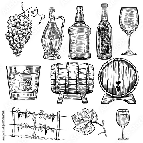 Wine. Set of wine bottles, grape, glass, wood barrels. Design elements for poster, menu. Vector illustration