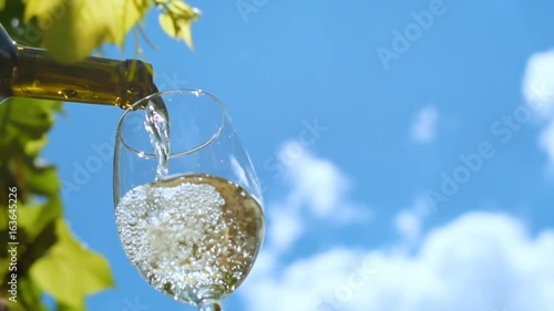 Pouring a glass of white wine.