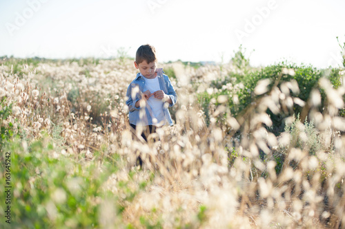 Pensive little boy stands in a field amongst plants