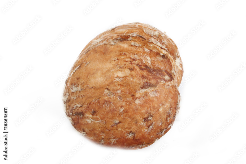 peeled chestnut isolated peeled chestnut isolated