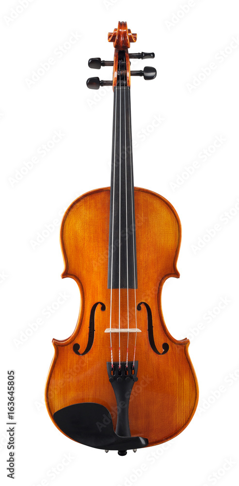 Obraz premium Cello isolated on white background