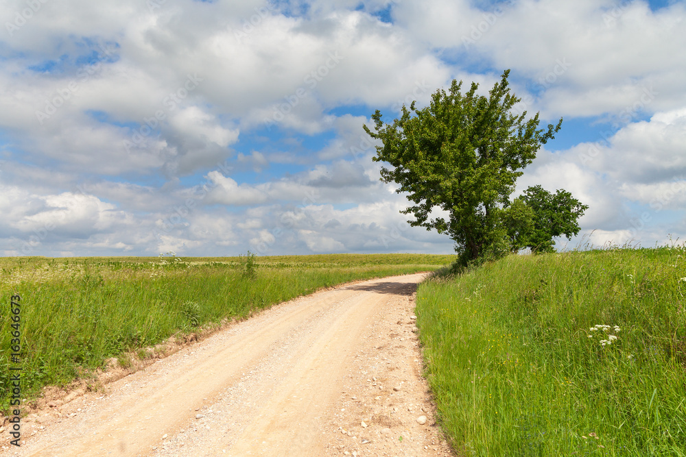 Gravel road in latvian countryside. Gravel road in latvian countryside.