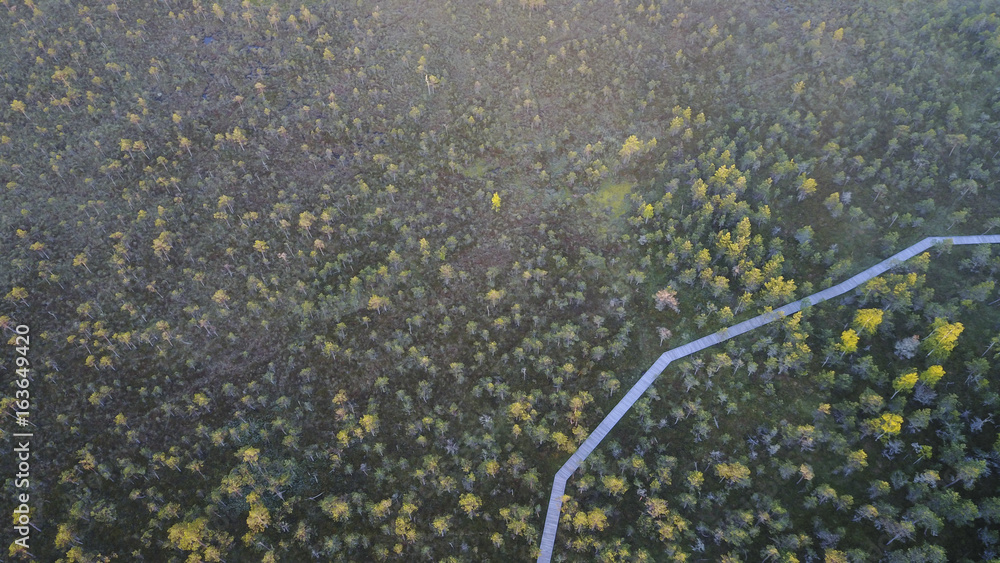 Drone photography & Swamps (bog) hiking track Drone photography & Swamps (bog) hiking track