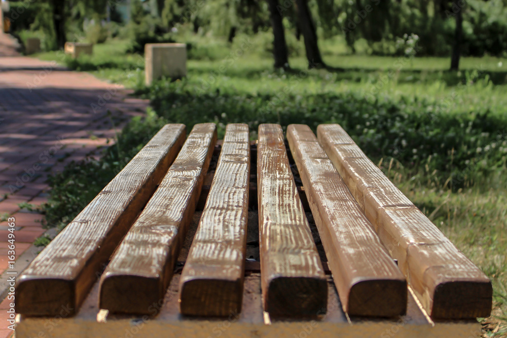 Fototapeta premium Wooden bench in the park