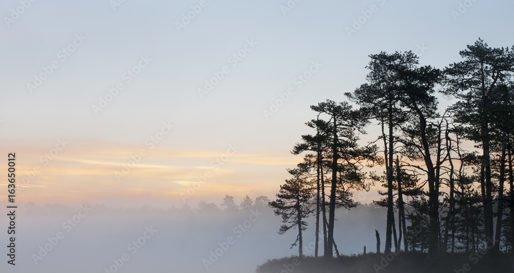 Sunrise Bog Sunrise Bog