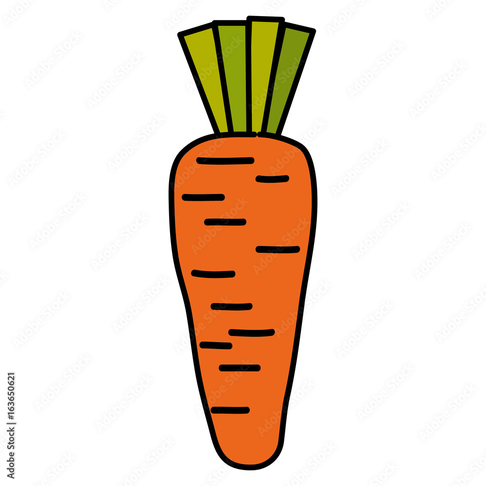 carrot fresh isolated icon vector illustration design carrot fresh isolated icon vector illustration design