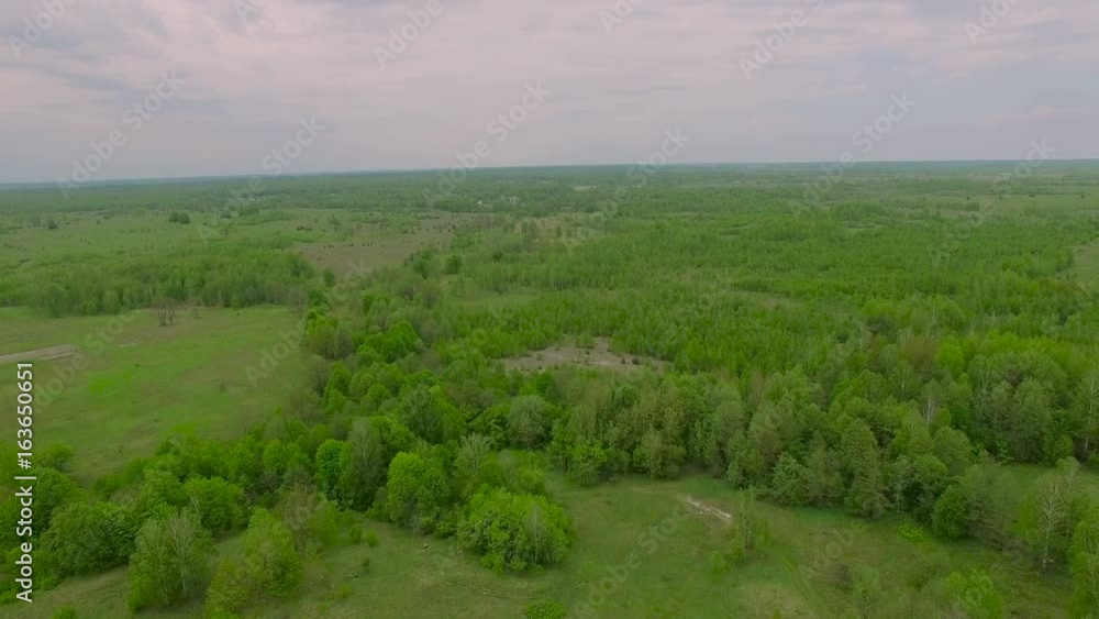 Aerial shot flight above the forest Aerial shot flight above the forest