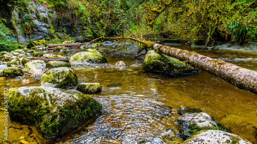 Rocks, trees and boulders in the Salmon habitat of the fast flowing Kanaka Creek in Kanaka Creek Regional Park near the town of Maple Ridge in British Columbia, Canada
