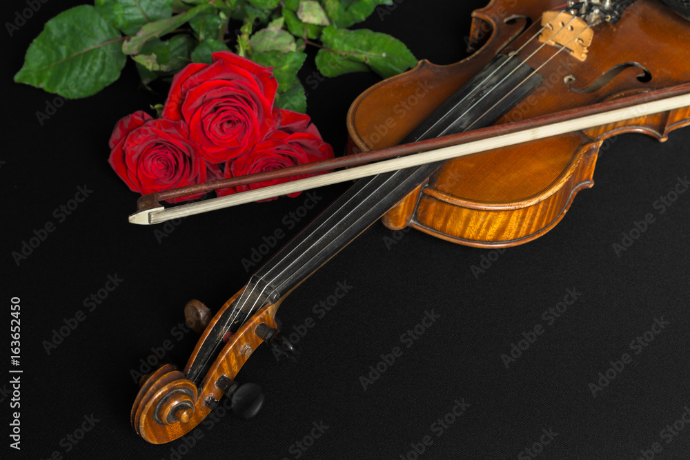 Fototapeta premium Violin and rose on black background.