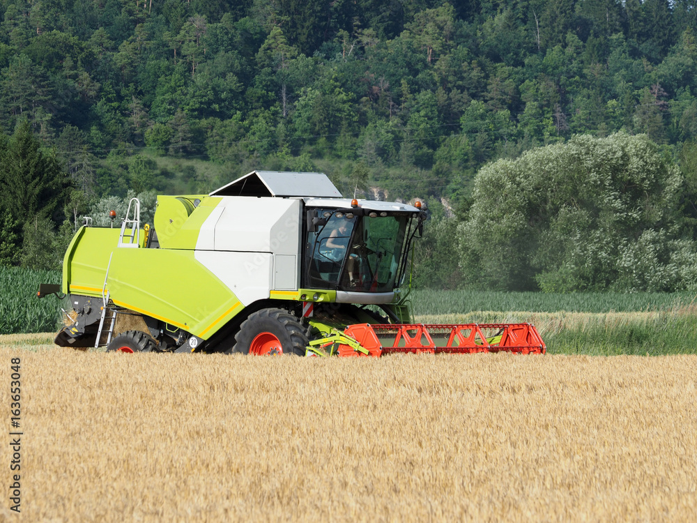 Fototapeta premium Getreideernte