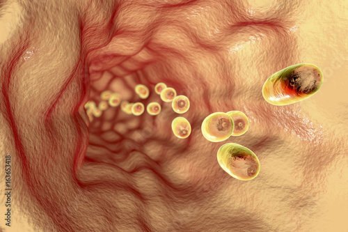 Obraz na plátně Pills in oesophagus, 3D illustration