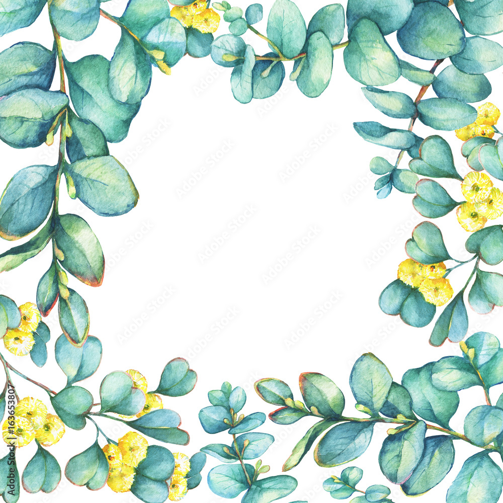 Naklejka premium Green floral square frame with a branch of silver-dollar eucalyptus cordata and Eucalyptus websteriana (Heart-leafed), isolated on white background. Watercolor hand drawn painting illustration.